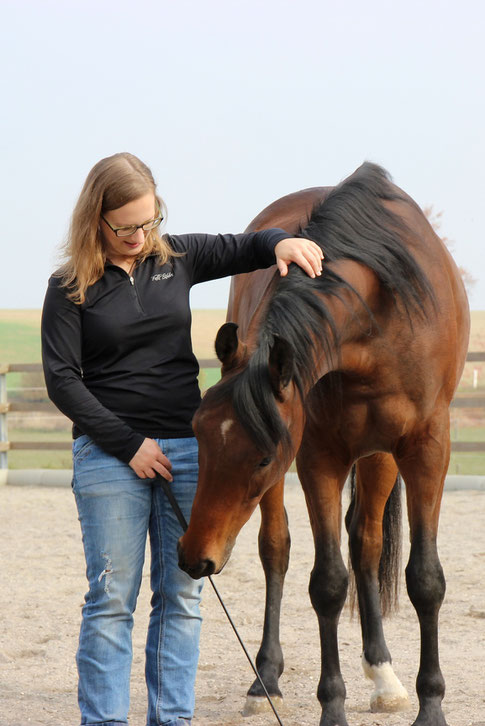 Pferdetraining, Horsemanship, Persönlichkeitsentwicklung mit Pferden