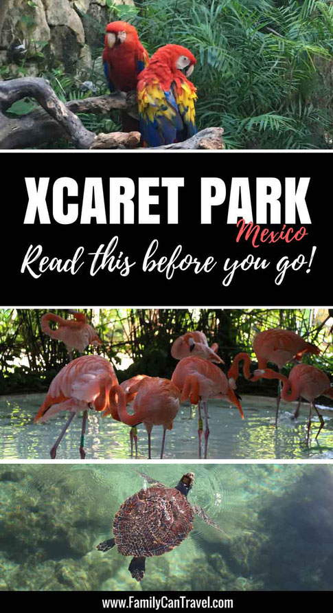 Top Tips for Visiting Xcaret Park in Mexico with kids. Read this before you go! | Family Travel | Travel with kids | Toddler Travel | #familytravel #toddlertravel #travelwithkids #mexico #mayanriviera