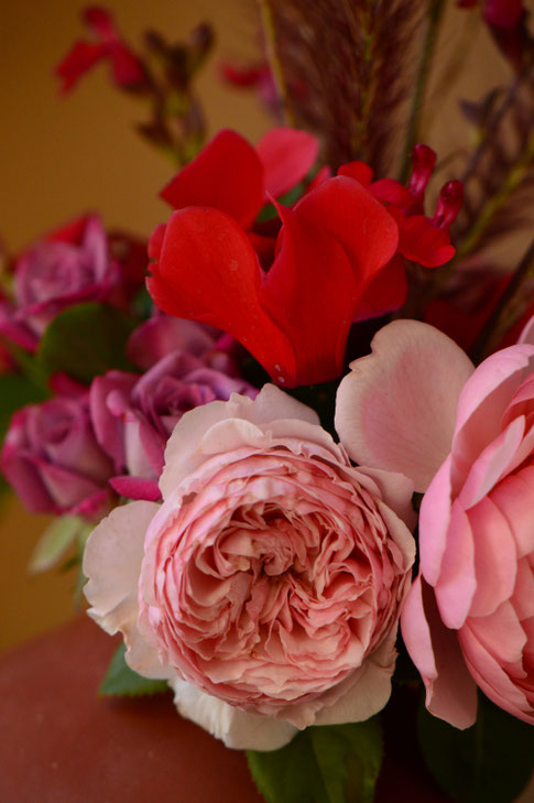 rose, james galway, small sunny garden, desert garden, amy myers, monday vase, photography, earthenware, pottery, potter, ceramics