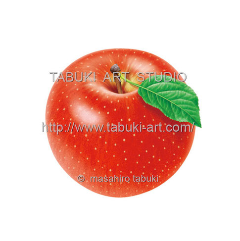 りんごイラスト1 Real Illustration Samples りんごイラスト1 Real Illustration Samples