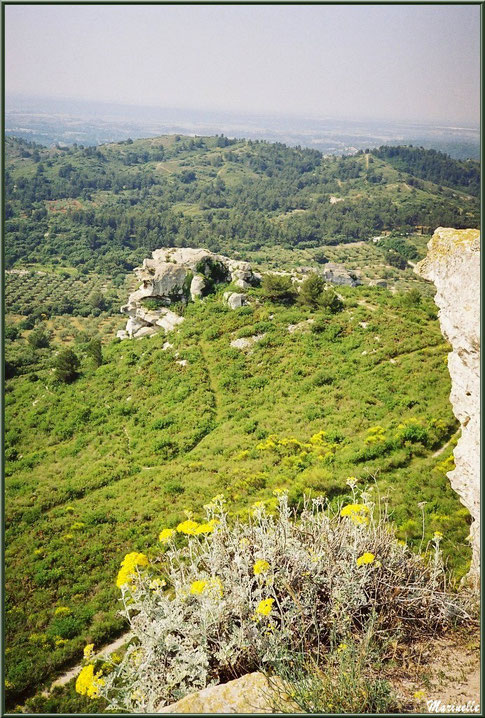 Vue panoramique sur la vallée (oliveraies, immortelles et ajoncs en fleurs...) depuis l'esplanade du château, Château des Baux-de-Provence, Alpilles (13)