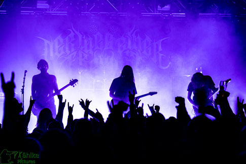 Der Weg Einer Freiheit