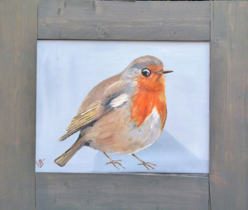 6.Robin XL  30x40 cm 