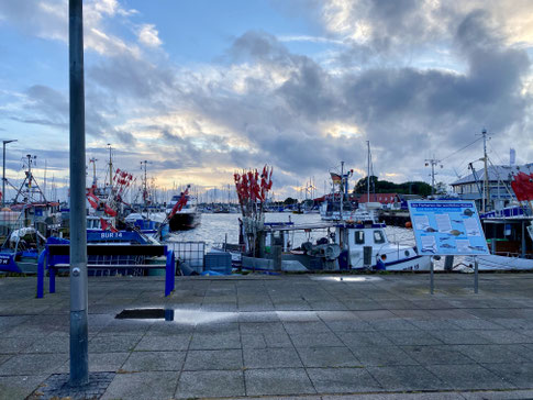 Stellplatz Alter Hafen, Fehmarn