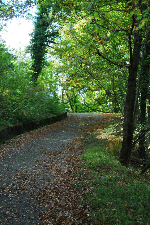 Ein Traumsträßlein in der Toskana