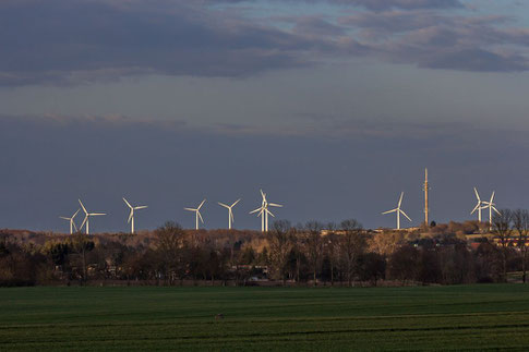 WIndkraftanlagen (WKA) bei Passow von Süden aus gesehen.