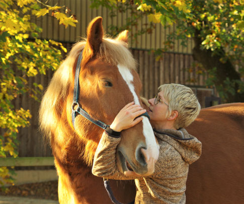 Pferdebehandlung mit Masterson Method®