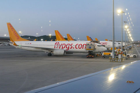 Flugzeuge der türkischen Airline Pegasus in Istanbul