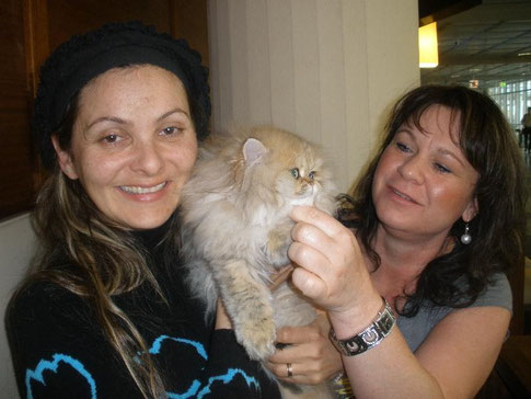 Elena hat ihre Fay abgeholt und hat nun eine neue Heimat in Sofia "Cattery SamsaraBlue"