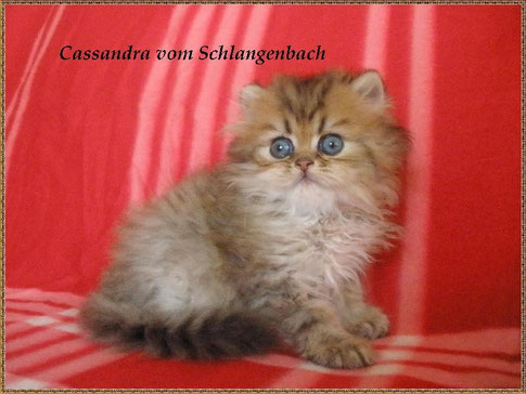 ..lebt bei Trixi