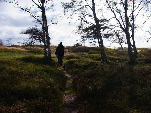 Dogtrekking Dogtrekking Dogtrekking Elbsandstein-Dogtrekking ESDT Harz-Dogtrekking