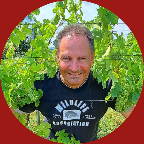 Tourguide Jörg-Michael Meschkat Kultur- und Weinbotschafter Weinexperte