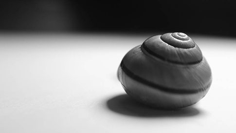 自然界の摂理。黄金律？そんなの関係ない！