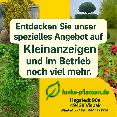 Unsere Pflanzen bei Kleinanzeigen