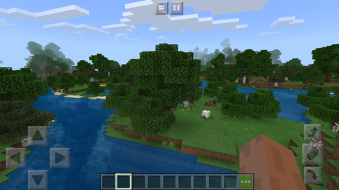 Hier ein Ausschnitt von der Pocket Edition
