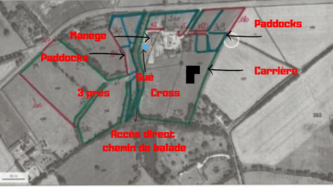 Les chevaux des écuries bénéficient de grandes surfaces herbeuses.