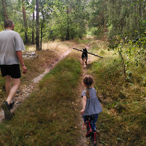Trachtbeobachtung, Spaziergang, Familienzeit...