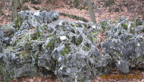 La roche Éponge