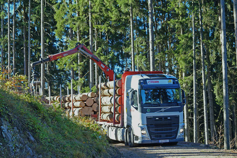 Reibungsloser Rundholztransport im Forst durch den Spitzensport Holztransport