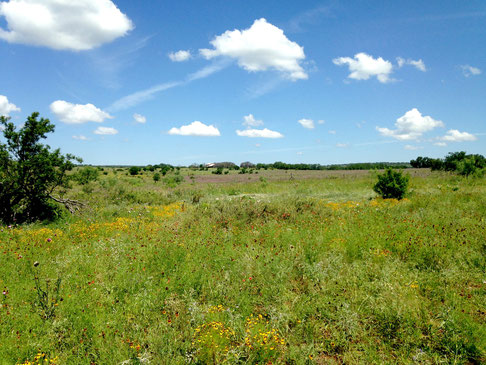 Just a little taste of ranch life in the beautiful Mason, Texas. 