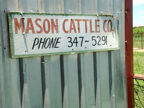 We got to learn all about how cattle are raised.  I didn't realize just how much work and dedication it takes to raise cattle.  It's basically a 7-days-a-week gig with little time off and lots of unpredictability.  