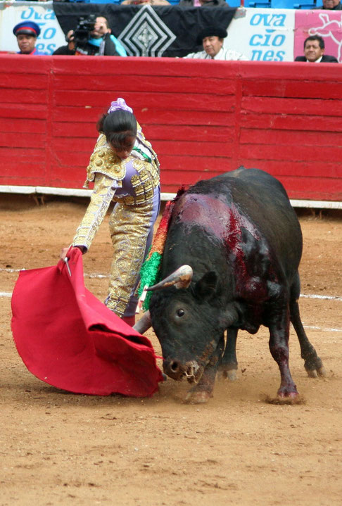 DERECHAZO D'HILDA TENORIO (née en 1986 à Morelia, Mexique).