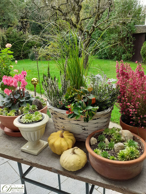 Herbstdeko für draussen ganz einfach selber machen mit Herbstblumen, Kürbissen, Quitten und bunten Herbstblättern - Idee by Daninas-Kunst-Werkstatt.at