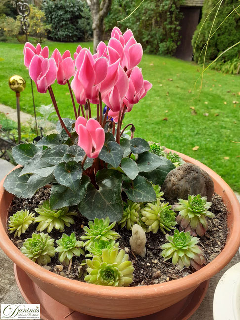 Herbstdeko für draußen - Daninas Kunst-Werkstatt