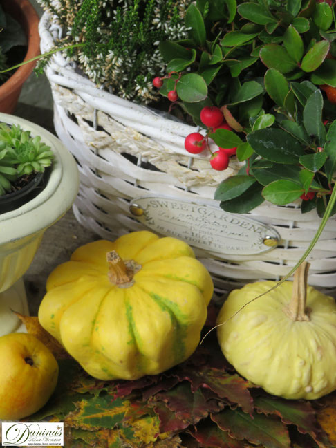 Herbstdeko für draussen ganz einfach selber machen mit Herbstblumen, Kürbissen, Quitten und bunten Herbstblättern - Idee by Daninas-Kunst-Werkstatt.at