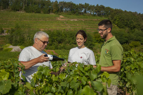 Philippe GAVIGNET dans ses vignes à Nuits-Saint-Georges avec sa fille et son fils