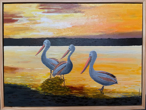 "Pelicans gathering in the late afternoon" 65cm x 50cm Acrylic on canvas, pinewood frame $450 (excluding freight)