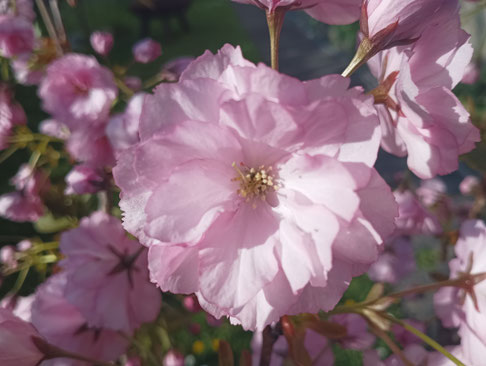 Frauenkurs, Frauenkreis Luzern