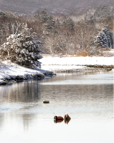 Cape Winter scene