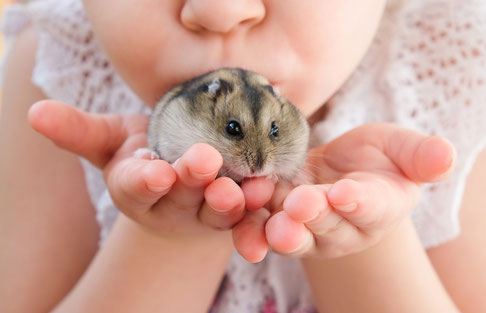 Photo d'une petite fille avec son hamster