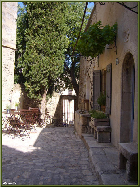 "La Treille en Provence", Baux-de-Provence, Alpilles (13)  