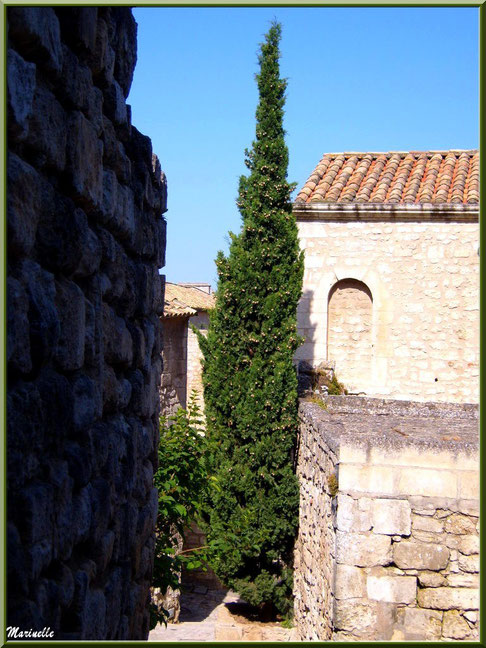 Cyprès, verdure et vieilles pierres au détour d'une ruelle, Baux-de-Provence, Alpilles (13)