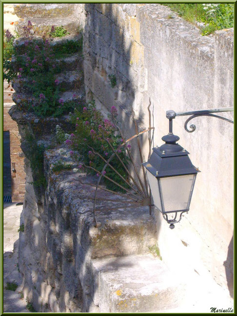 Porte d'Eyguières ou Porte de l'Eau, Baux-de-Provence, Alpilles (13) : lampe, ferronnerie et Valérianes côté intérieur 