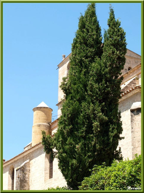 Eglise Notre Dame de Beaulieu, village de Cucuron, Lubéron (84) : vue d'un des côtés