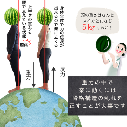 上半身の重みを腰で支えている状態　腰痛　身体全体で力の伝達が出来るので楽に立てる　重力　反力　頭の重さはスイカとおなじ5㎏くらい　重力の中で楽に動くには骨格構造の乱れを正すことが大事です