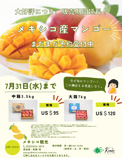 【ココメロン】別の方のご購入お断り ☆期間限定！メキシコ産アップルマンゴーのご案内