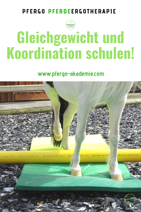 Die Körperwahrnehmung spielt bei Pferden eine große Rolle. Die Pferdeergotherapie kann Pferden zu einer besseren Körperwahrnehmung und damit zu mehr Trittsicherheit, Balance und Ausgeglichenheit verhelfen.