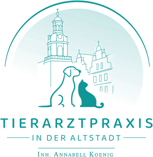 Tierarztpraxis in der Altstadt - Rinteln