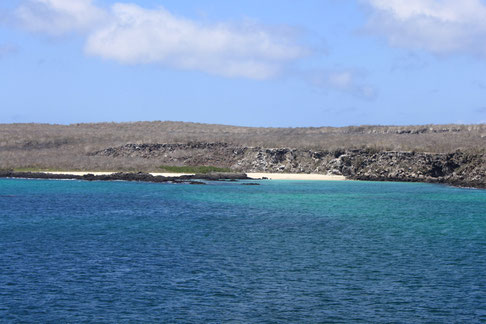 Kreuzfahrten auf den Galápagos Inseln mit ECUADORline