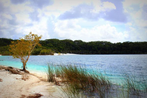 Lake McKenzie Fraser Island, Queensland, Australien