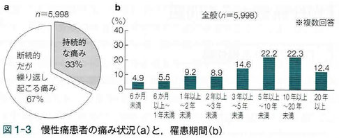 慢性痛患者の痛み状況と罹患期間