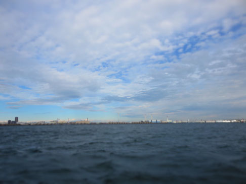 横浜の海。シーバスという遊覧を兼ねた船からの景色です。