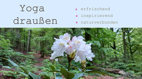 Yoga draußen Draußen Yoga Yoga an der frischen Luft Yogastudio Heidelberg Yogkurse Heidelberg Eva Yoga Yoga Eva
