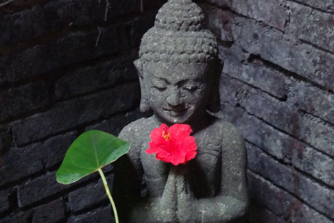 Yoga Stile Yogakurse Heidelberg Yoga Heidelberg 69117 69121