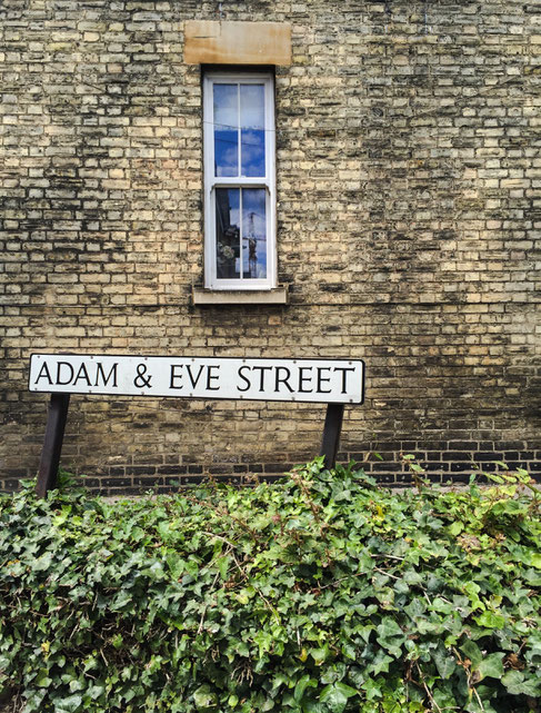 image: nina luca, swiss blogger, uk blogger, cambridge, cambridge university, cambridge college, england, british lawn, my journey, language school, ec school, adam and eve, adam & eve street