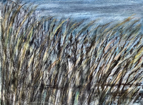 Im Moor (36 x 48 cm)